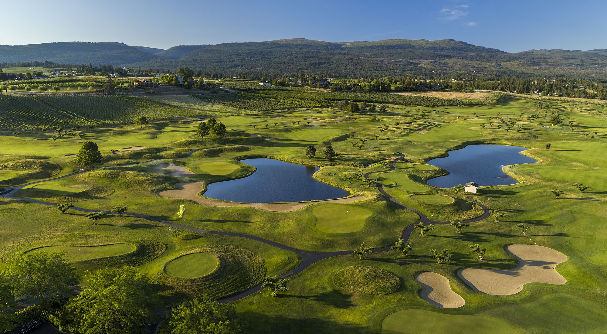 The Harvest Golf Club